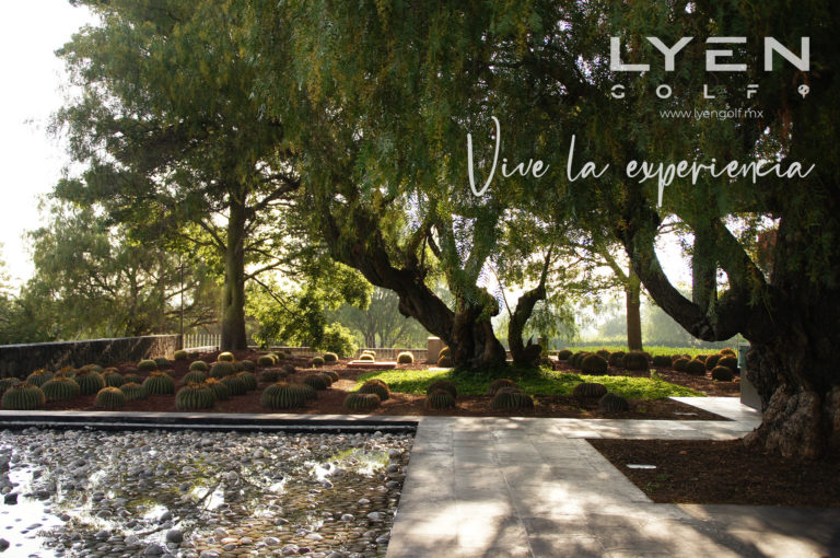 LYEN GOLF EXPERIENCE
